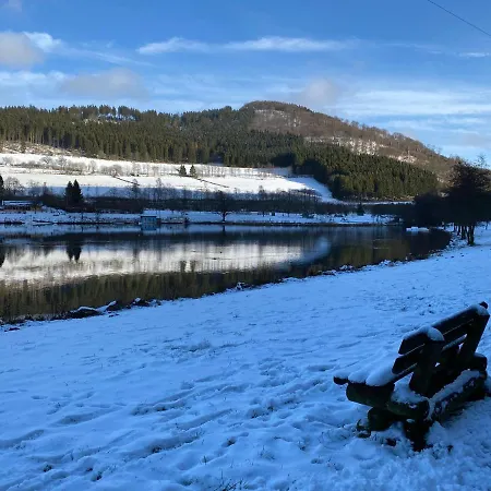 Ferienwohnung Am Hillestausee Winterberg Eksteriør billede