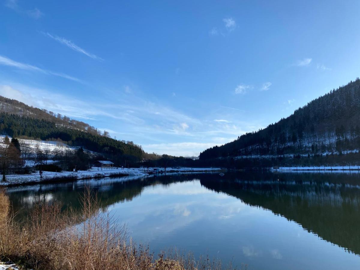Am Hillestausee * Winterberg